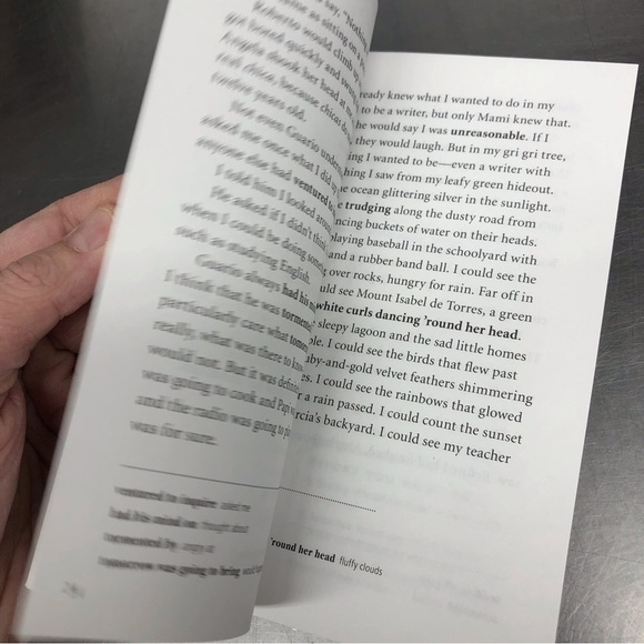 The Color of my Words by: Lynn Joseph, paperback book - Picture 4 of 5